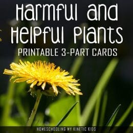 Helpful and Harmful Plant FREE 3-Part Cards. #freehomeschooldeals #fhdhomeschoolers #helpfulplants #harmfulplants #poisonousplants #helpfulandharmfulplants