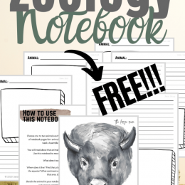 FREE Zoology Notebook Journal. #fhdhomeschoolers #freehomeschooldeals #zoologynotebook #zoologyjournal #zoologicalnotebook