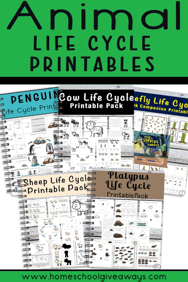 Animal Life Cycle FREE Printables. #freehomeschooldeals #fhdhomeschoolers #animallifecycles #lifecycles ##lifecycleprintables #lifecyclepacks