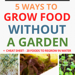 FREE Printable for Growing Food Without a Garden. #freehomeschooldeals #fhdhomeschoolers #growingfoodprintables #waystogrowfood #growwithoutagaden #growfoodathome