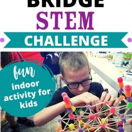 FREE Toothpick Bridge Kids STEM Challenge. #freehomeschooldeals #fhdhomeschoolers #toothpickbridge #toothpickbridgeSTEM #STEMchallenge