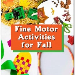 Fine Motor Activities for the Fall. #freehomeschooldeals #fhdhomeschoolers #fallactivities #finemotorskills #activitiesforthefall #funfallactivities