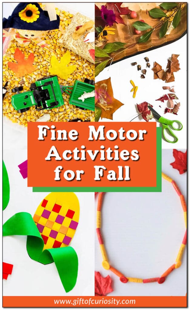 Fine Motor Activities for the Fall. #freehomeschooldeals #fhdhomeschoolers #fallactivities #finemotorskills #activitiesforthefall #funfallactivities