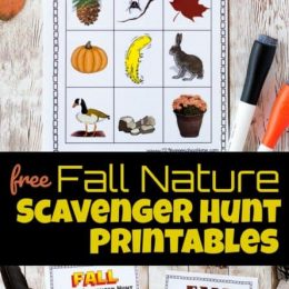 FREE Fall Nature Scavenger Hunts. #freehomeschooldeals #fhdhomeschoolers #fallnaturescavengerhunt #fallscavengerhunt #naturescavengerhunt #scavengerhunt