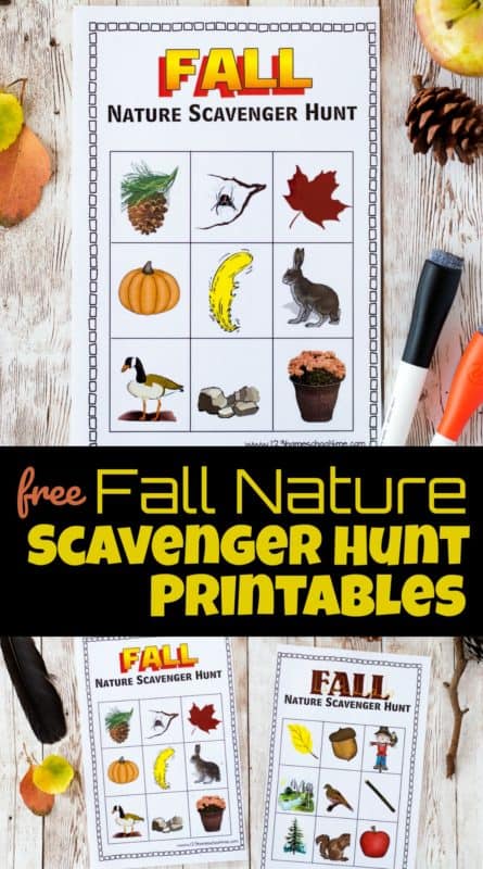 FREE Fall Nature Scavenger Hunts. #freehomeschooldeals #fhdhomeschoolers #fallnaturescavengerhunt #fallscavengerhunt #naturescavengerhunt #scavengerhunt