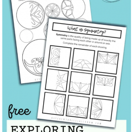 FREE Line of Symmetry Worksheets. #freehomeschooldeals #fhdhomeschoolers #lineofsymmetry #symmetryworksheets