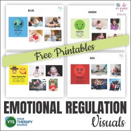 FREE Emotional Regulation Visual Posters. #freehomeschooldeals #fhdhomeschoolers #emotionalregulationvisuals #emotionalregulation #regulateemotionsforkids #emotionalregulationposters
