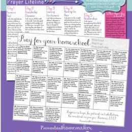 Homeschool FREE Prayer Calendars. #freehomeschooldeals #fhdhomeschoolers #homeschoolprayercalendars #calendarsforprayer #prayercalendars #homeschoolcalendars