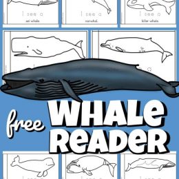 FREE Printable Whale Reader. #freehomeschooldeals #fhdhomeschoolers #whalereader #whalebook #preschoolscience #whaleprintable