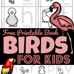 Preschool FREE Bird Printable Book