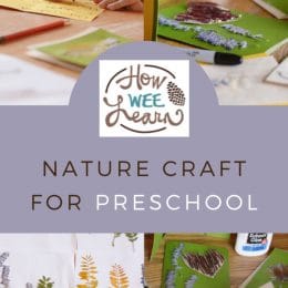 Preschool Nature Craft. #preschoolnaturecraft #naturecraftforpreschool #preschoolernatureactivity #fhdhomeschoolers #freehomeschooldeals