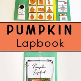 Pumpkin Life Cycle FREE Lapbook. #fhdhomeschoolers #freehomeschooldeals #pumpkinlifecycle #lifecycleofpumpkins#lapbook #pumpkinlapbook #lifecyclelapbook