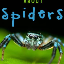FREE Spider Resources. #freehomeschooldeals #fhdhomeschoolers #spiderresources #spiderlifecycle #spiderprintables