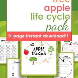 FREE Apple Life Cycle Study. #freehomeschooldeals #fhdhomeschoolers #applylifecyclestudy #applelifecycle #appleprintables #lifecycleprintables