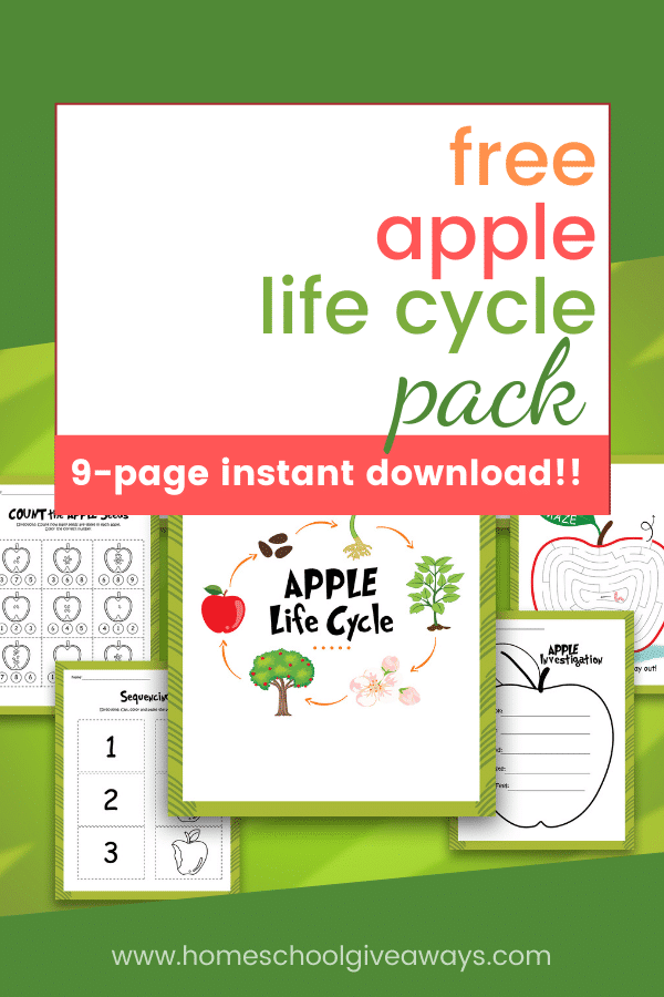 FREE Apple Life Cycle Study. #freehomeschooldeals #fhdhomeschoolers #applylifecyclestudy #applelifecycle #appleprintables #lifecycleprintables
