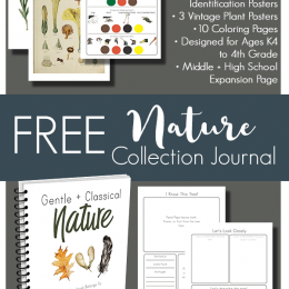 FREE Nature Collection Printable Journal. #freehomeschooldeals #fhdhomeschoolers #naturecollectionjournal #naturejournal #natutrestudy