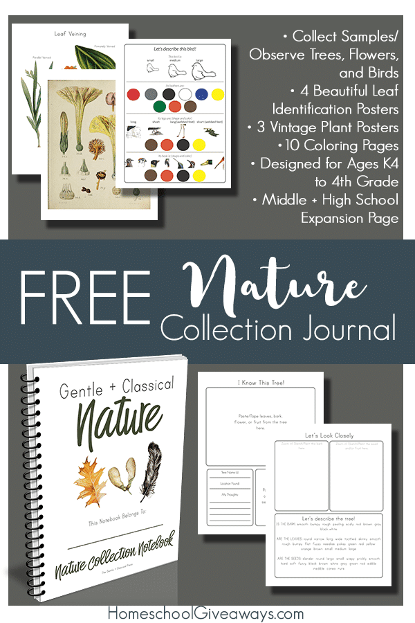 FREE Nature Collection Printable Journal. #freehomeschooldeals #fhdhomeschoolers #naturecollectionjournal #naturejournal #natutrestudy