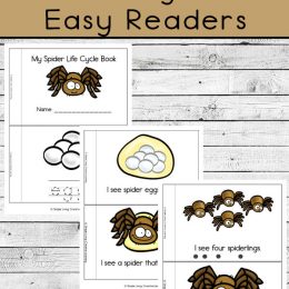 FREE Easy Reader Spider Life Cycle. #freehomeschooldeals #fhdhomeschoolers #spiderlifecycle #spidereasyreaders