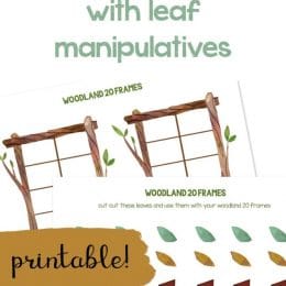 FREE Woodland Math Ten Frames. #tenframes #tenframesforkids #preschoolmathactivities #freehomeschooldeals #fhdhomeschoolers