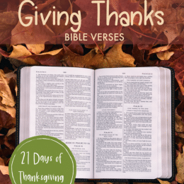 Free Thanksgiving Family Bible Study. #freebiblestudy #thankfulnessstudy #familybibleactivity #freehomeschooldeals #fhdhomeschoolers