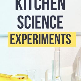 Edible Science Activities for Kids. #scienceexperiementsforkids #ediblescienceexperiment #freediyscienceprojects #freehomeschooldeals #fhdhomeschoolers