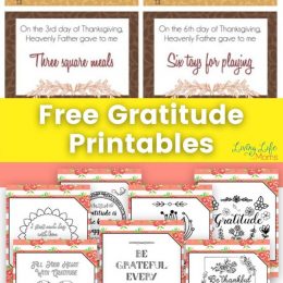 Gratitude Journaling and Activity Printables. #freegratitudeprintables #freejournalingpages #teachinggratitude #freehomeschooldeals #fhdhomeschoolers