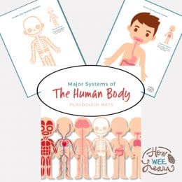 Printable Human Body Playdough Mats. #playdoughmats #humanbodyforkids #humanbodyprintable #freehomeschooldeals #fhdhomeschoolers