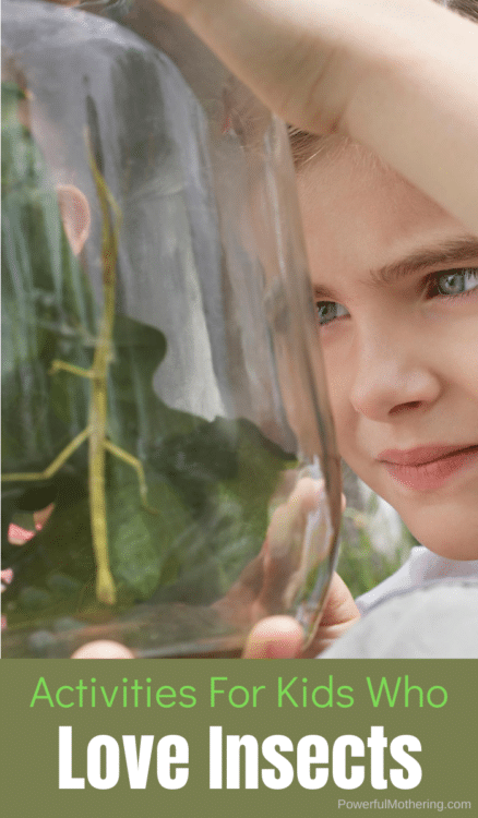 Insect Study Activities for Kids. #insectstudy #insectsforkids #kindergartenbugstudy #freehomeschooldeals #fhdhomeschoolers