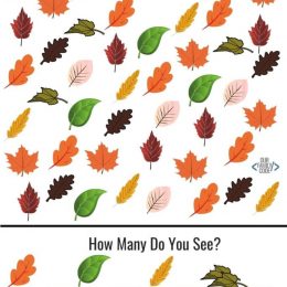 Preschool I-Spy Fall Worksheets. #ispygamesforkids #freeispyprintables #freeispyworksheets #freehomeschooldeals #fhdhomeschoolers