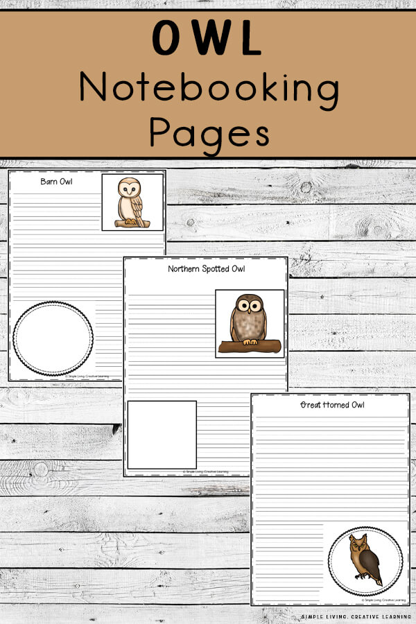 Owl Notebooking Study Pages. #freenotebookingpages #owlunitstudy #printablenotebookingpages #freehomeschooldeals #fhdhomeschoolers