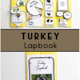 Free Turkey Printable Lapbook. #freeturkeylapbook #printableturkeylapbook #turkeyunitstudy #freehomeschooldeals #fhdhomeschoolers