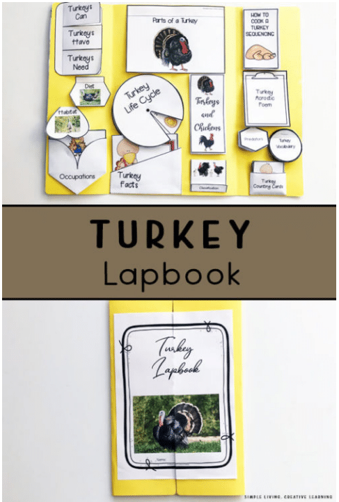 Free Turkey Printable Lapbook. #freeturkeylapbook #printableturkeylapbook #turkeyunitstudy #freehomeschooldeals #fhdhomeschoolers