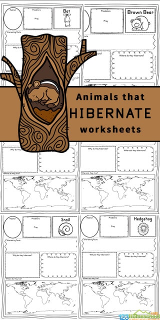 Hibernating Animals Printable Pages. #hibernationunitstudy #hibernationworksheets #winterunitstudy #freehomeschooldeals #fhdhomeschoolers