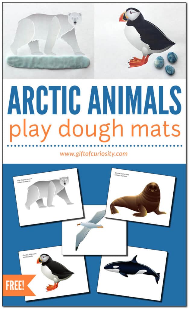 Arctic Animal Preschool Playdough Mats. #winterunitstudy #arcticanimalstudy #freeplaydoughmats #freehomeschooldeals #fhdhomeschoolers