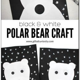 Polar Bear Kid's Craft. #wintercraftforkids #polarbearcraft #easywintercrafts #freehomeschooldeals #fhdhomeschoolers