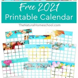 Free Printable Homeschool Calendar. #freecalendar #printablehomeschoolcalendar #homeschoolorganizing #freehomeschooldeals #fhdhomeschoolers