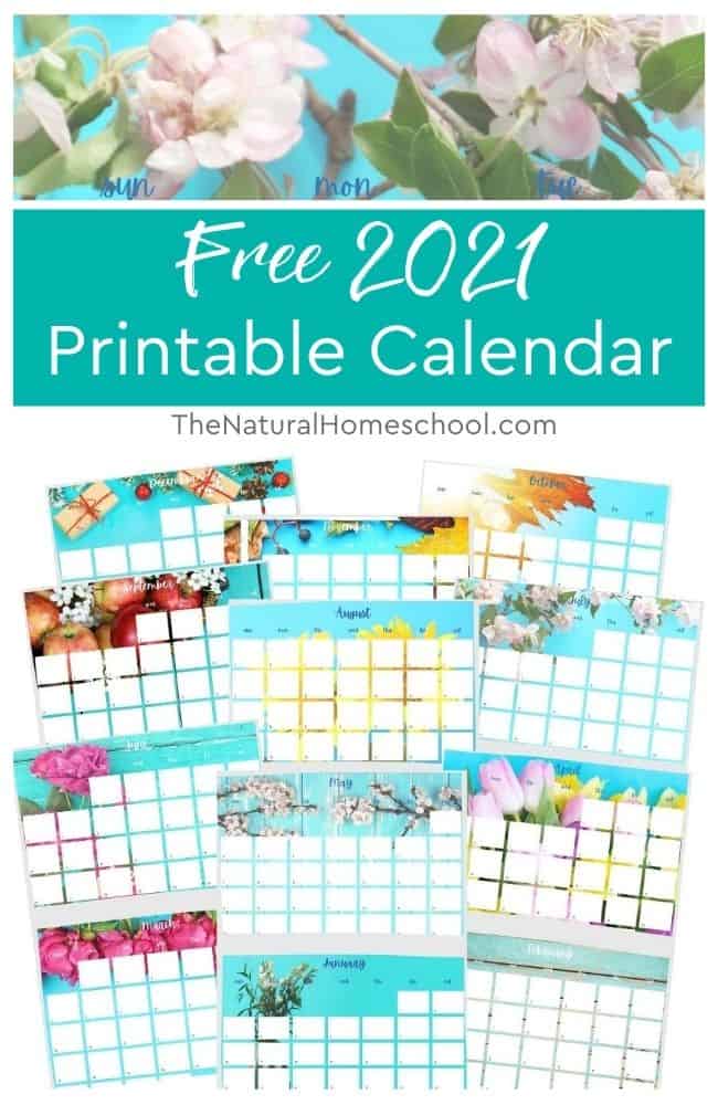 Free Printable Homeschool Calendar. #freecalendar #printablehomeschoolcalendar #homeschoolorganizing #freehomeschooldeals #fhdhomeschoolers