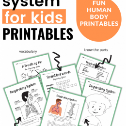 Free Respiratory System Worksheets. #humanbodyforkids #respiratorysystemworksheets #scienceworksheets #freehomeschooldeals #fhdhomeschoolers