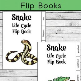 FREE Snake Life Cycle Flip Books. #freehomeschooldeals #fhdhomeschoolers #snakelifecycle #lifecycleofsnakes #snakeprintables #snakescience