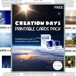 Free Creation Pack Printable. #freehomeschooldeals #fhdhomeschoolers #creationprintables #creationresources #creationcardspack