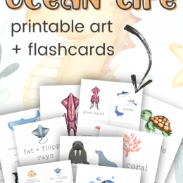 Ocean Life Printable Art + Flashcard Set. #freehomeschooldeals #fhdhomeschoolers #oceanlifeprintableart #oceanlifeflshcardset #oceanlifeprintable