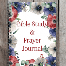 FREE Bible and Prayer Journal. #freehomeschooldeals #fhdhomeschoolers #biblereadingjournal #prayingjournal #monthlybiblereading