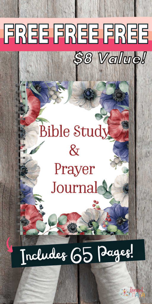 FREE Bible and Prayer Journal. #freehomeschooldeals #fhdhomeschoolers #biblereadingjournal #prayingjournal ##monthlybiblereading