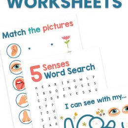 FREE Five Senses Worksheets. #freehomeschooldeals #fhdhomeschoolers #5sensesworksheets #fivesensesworksheets #5senseresources