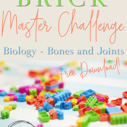 Free Brick Master Challenge Cards - Bones &Joints. #freehomeschooldeals #fhdhomeschoolers #brickmasterchallengecards #brickmasterprintables #bonesandjountscards #bonesandjointsprintables