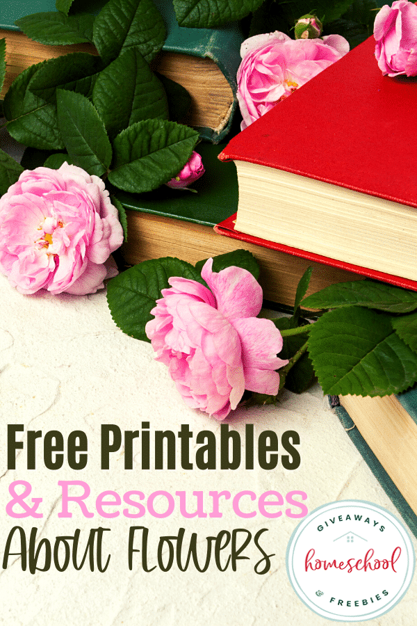 FREE Flower Printables. #freehomeschooldeals #fhdhomeschoolers #allaboutflowers #flowersprintables #flowersresources