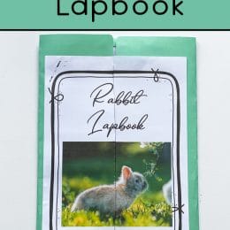 Free Rabbit Lapbook. #freehomeschooldeals #fhdhomeschoolers #rabbitlapbook #rabbitprintables #animallapbook