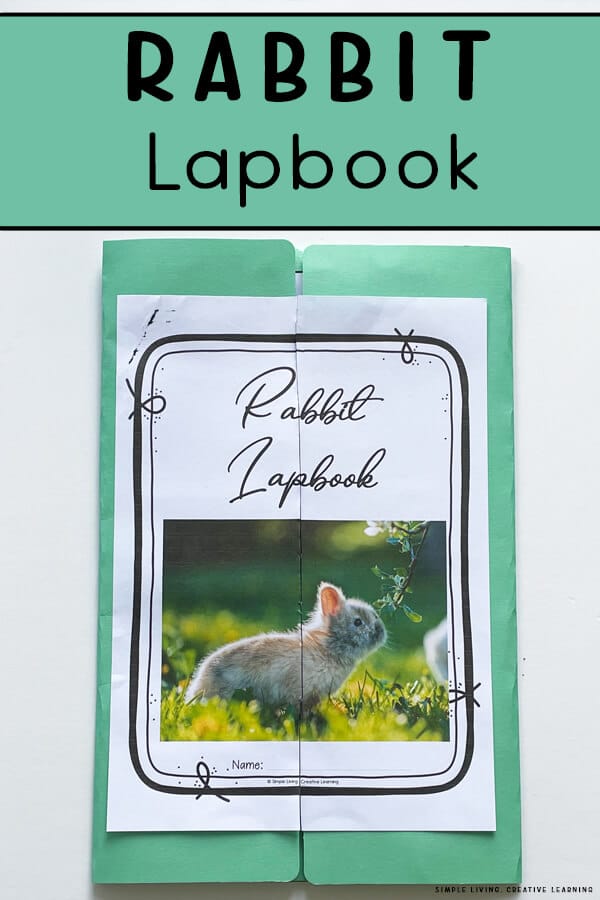 Free Rabbit Lapbook. #freehomeschooldeals #fhdhomeschoolers #rabbitlapbook #rabbitprintables #animallapbook