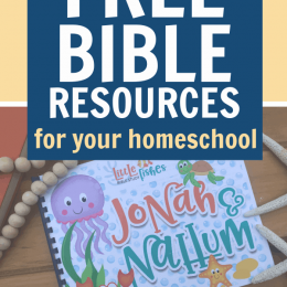 FREE Homeschool Bible Resources. #freehomeschooldeals #fhdhomeschoolers #homeschoolbibleresources #bibleresources #bibleprintables