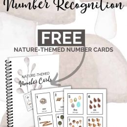 FREE Number Recognition Resources. #freehomeschooldeals #fhdhomeschoolers #properposture #postureposter #writingposture